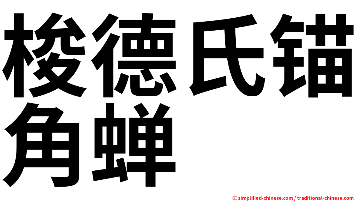 梭德氏锚角蝉
