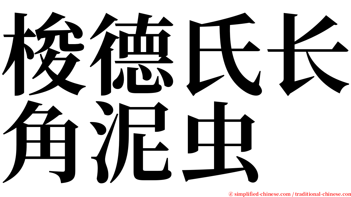 梭德氏长角泥虫 serif font