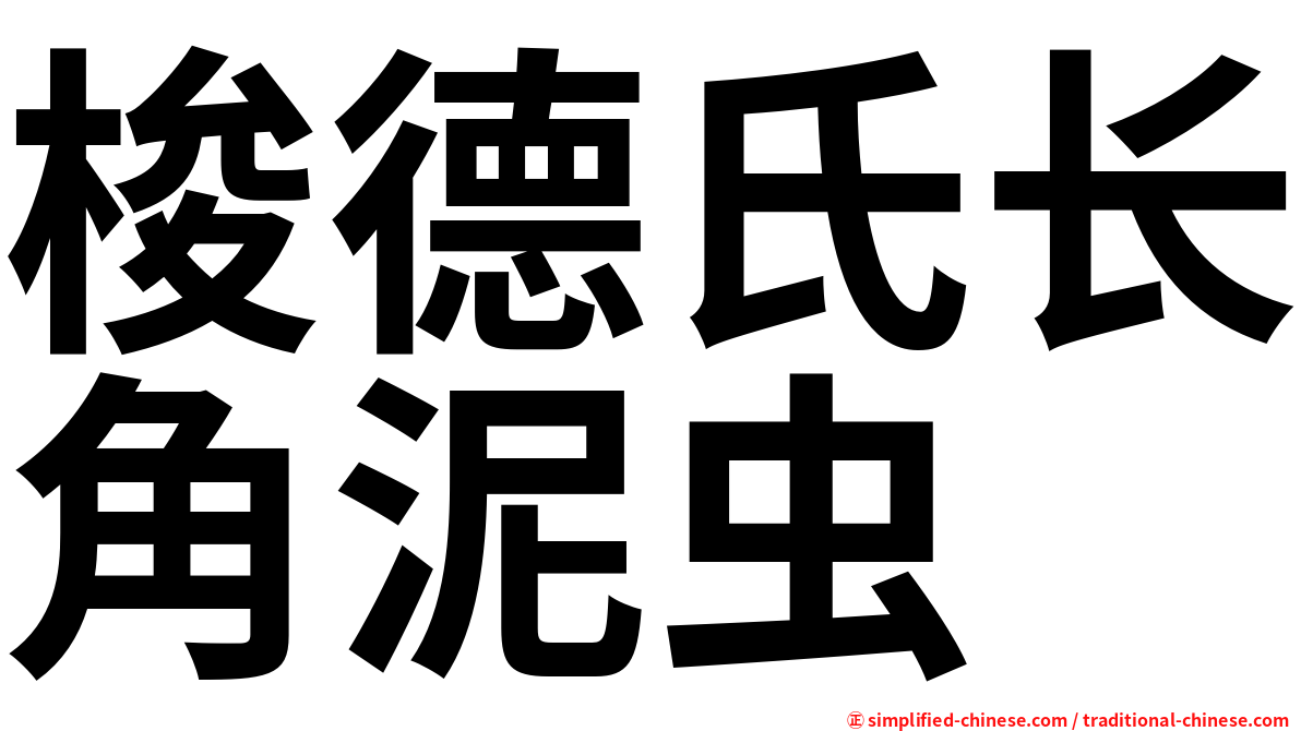 梭德氏长角泥虫