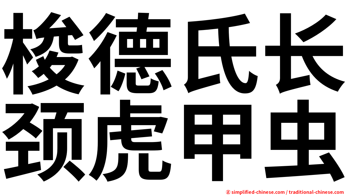 梭德氏长颈虎甲虫