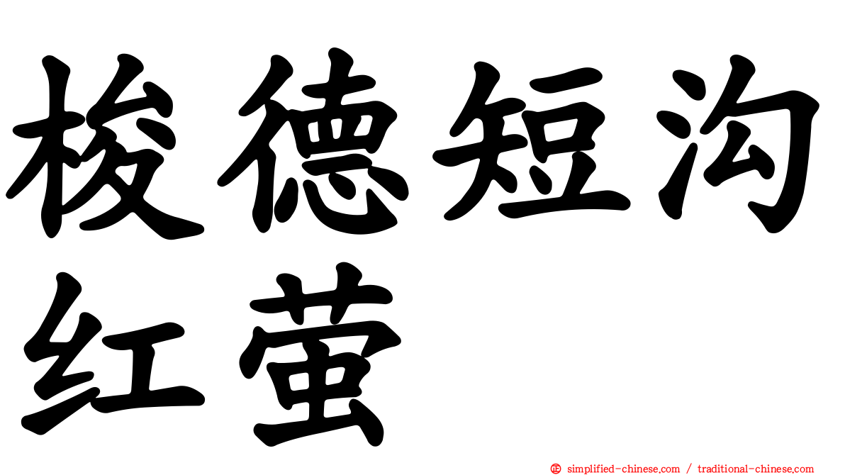梭德短沟红萤