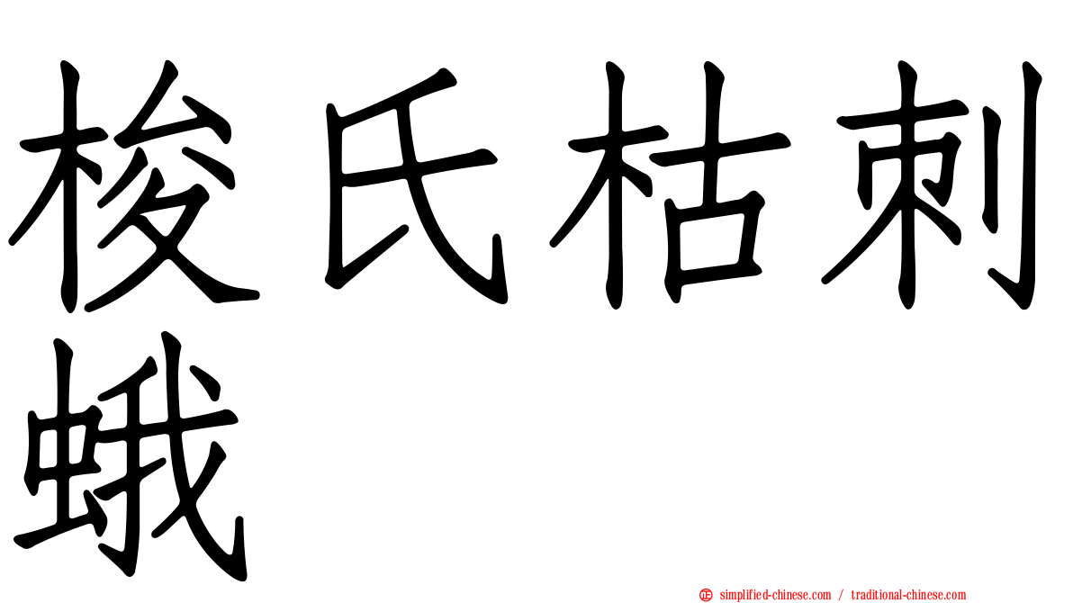 梭氏枯刺蛾