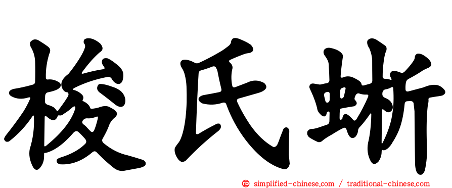 梭氏蜥
