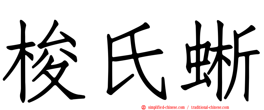 梭氏蜥