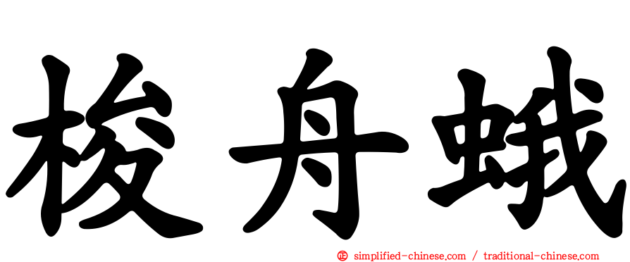 梭舟蛾