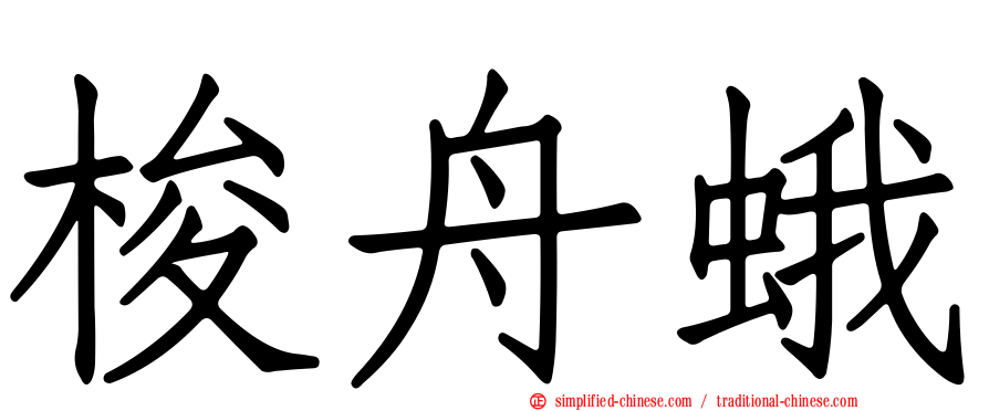 梭舟蛾