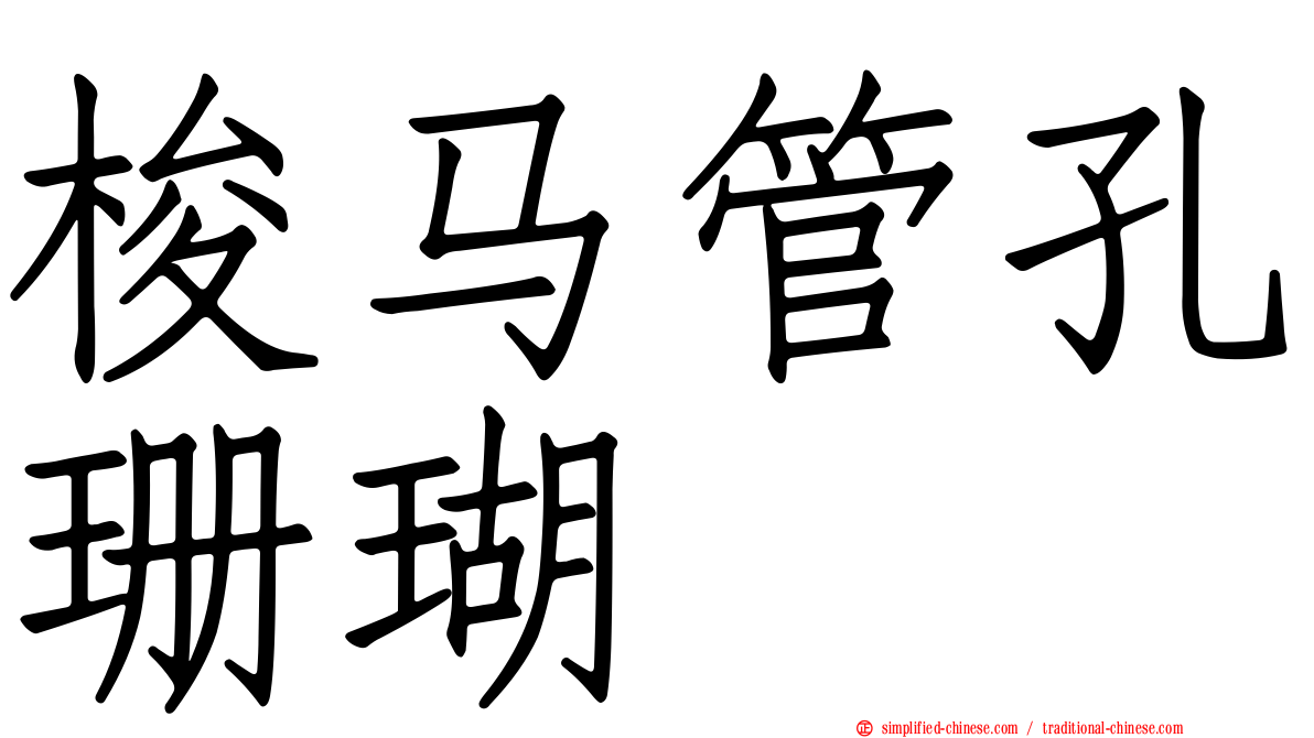 梭马管孔珊瑚