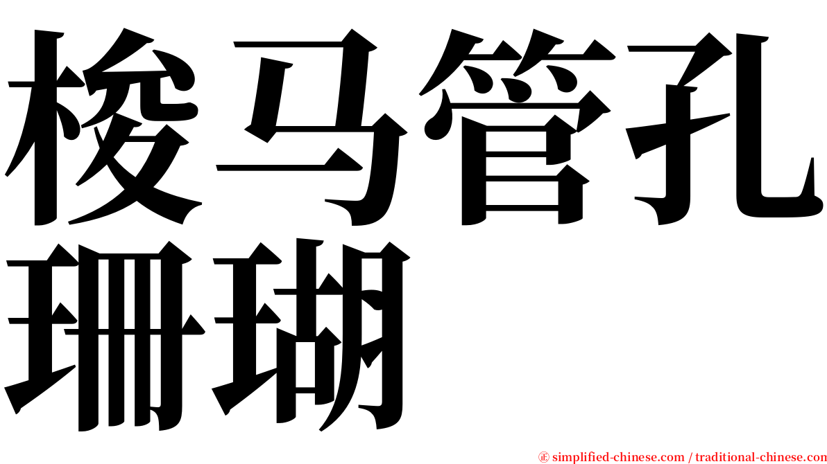梭马管孔珊瑚 serif font