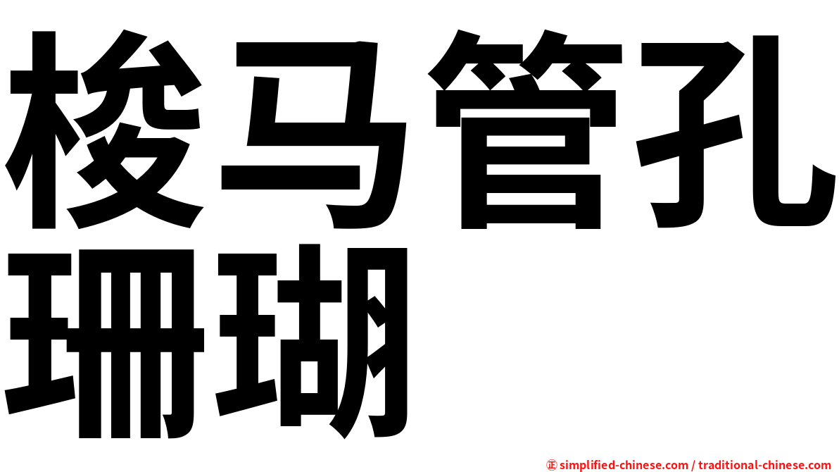 梭马管孔珊瑚