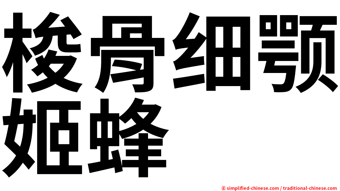梭骨细颚姬蜂