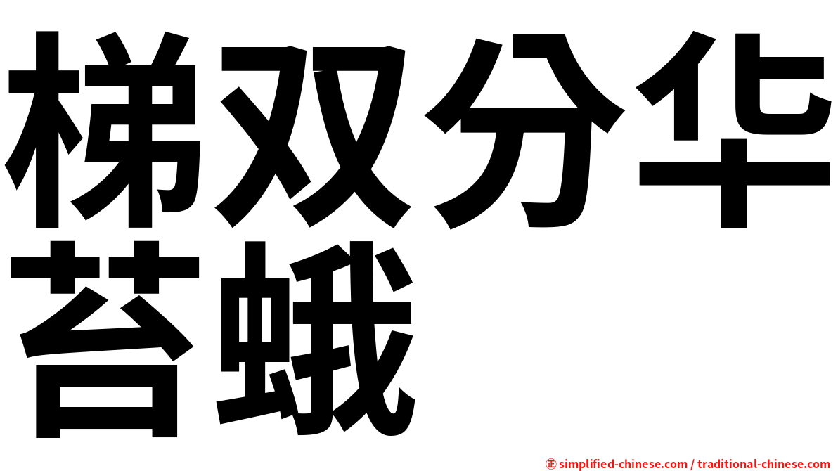 梯双分华苔蛾