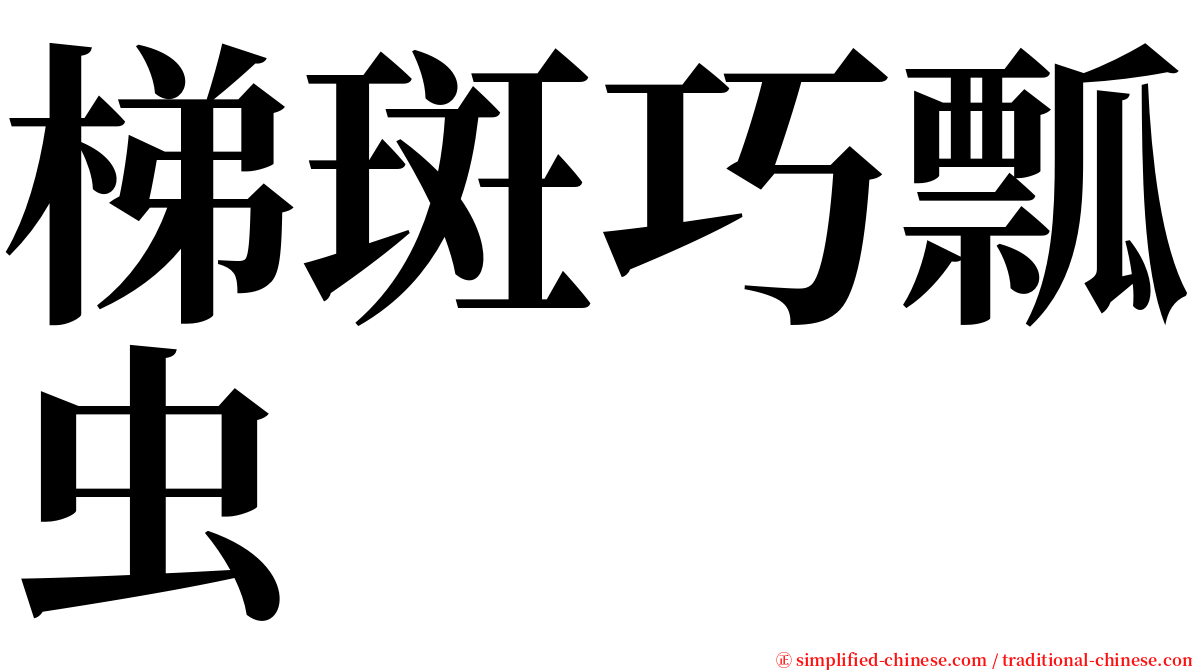 梯斑巧瓢虫 serif font