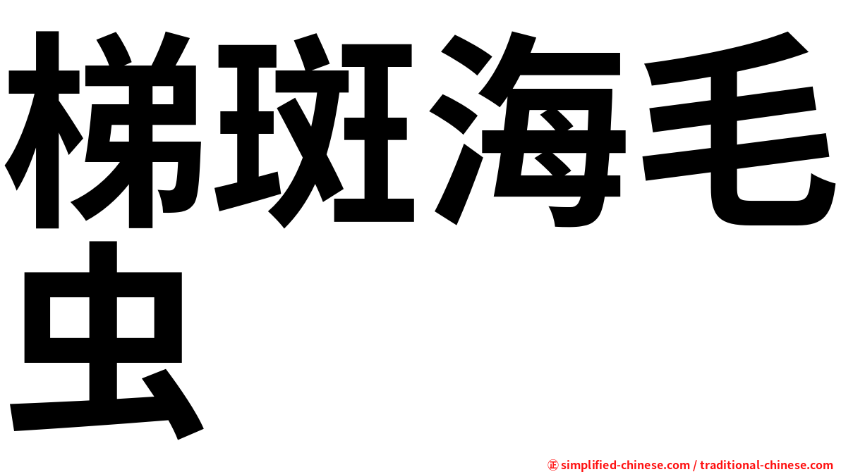 梯斑海毛虫
