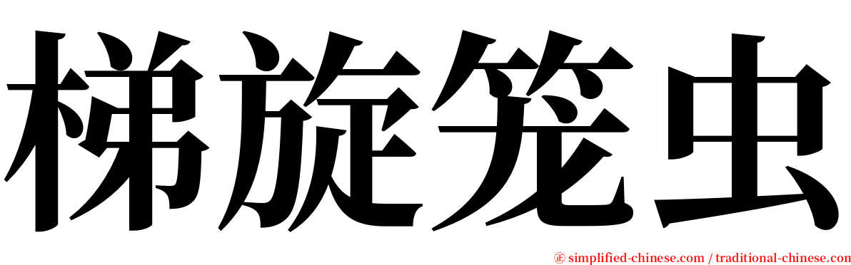 梯旋笼虫 serif font