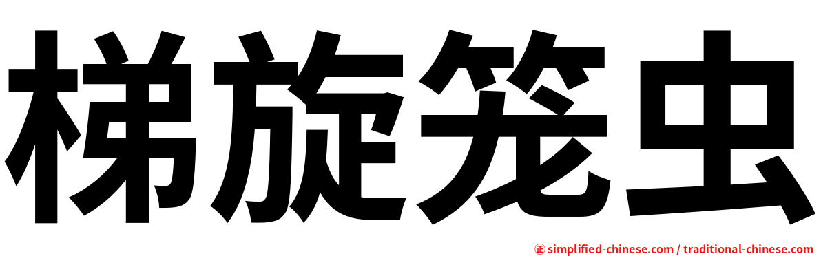 梯旋笼虫