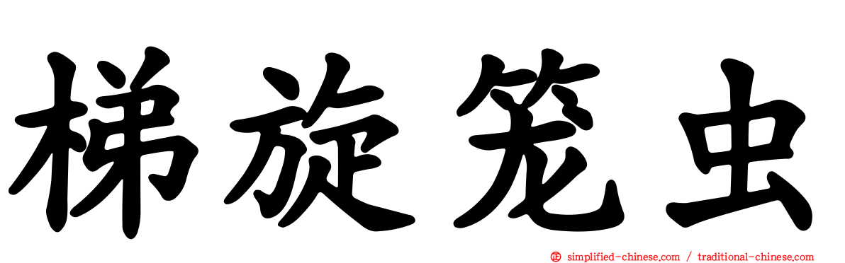 梯旋笼虫