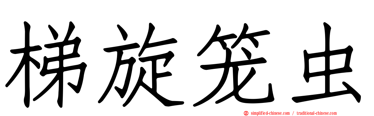梯旋笼虫