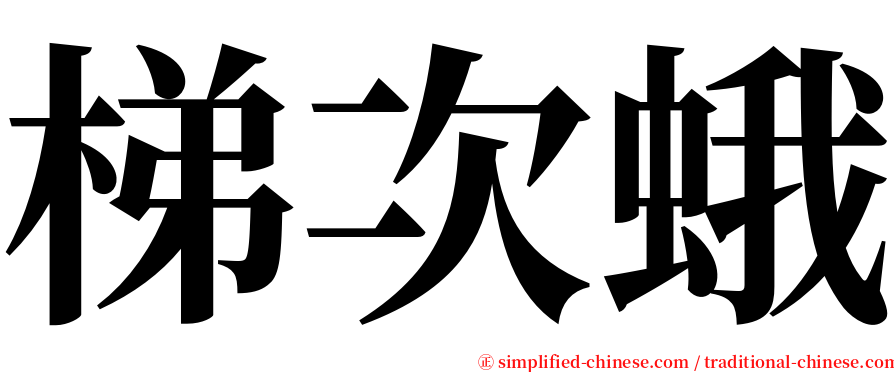 梯次蛾 serif font