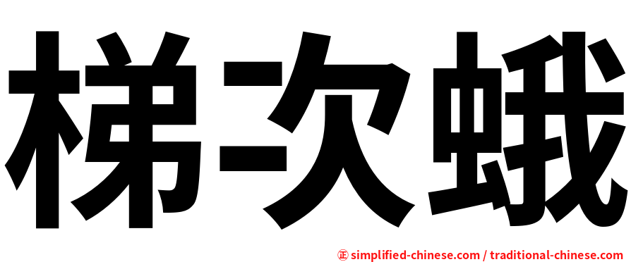 梯次蛾