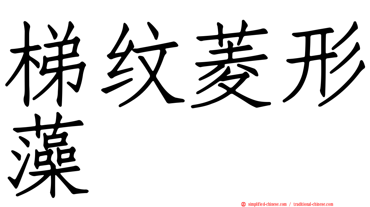 梯纹菱形藻