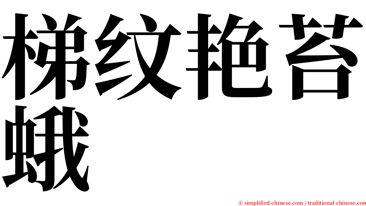 梯纹艳苔蛾 serif font