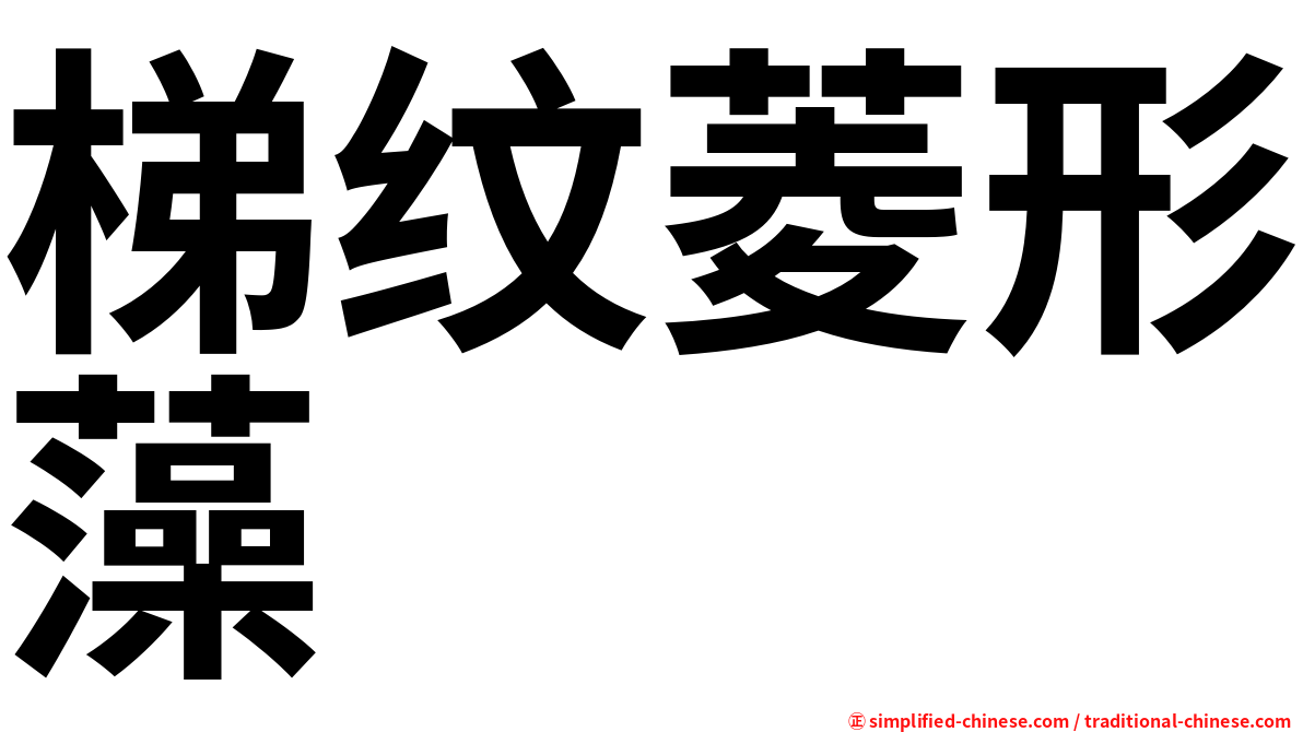 梯纹菱形藻