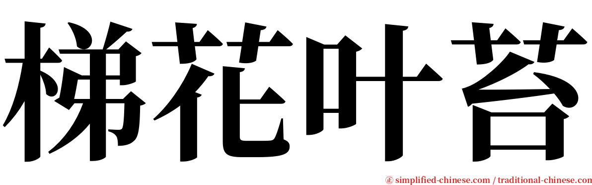 梯花叶苔 serif font