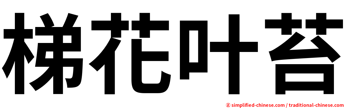 梯花叶苔