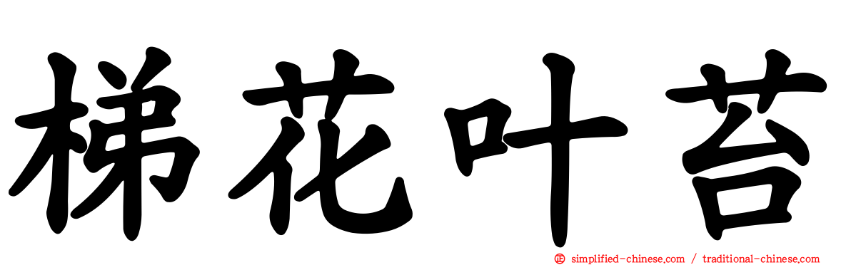 梯花叶苔