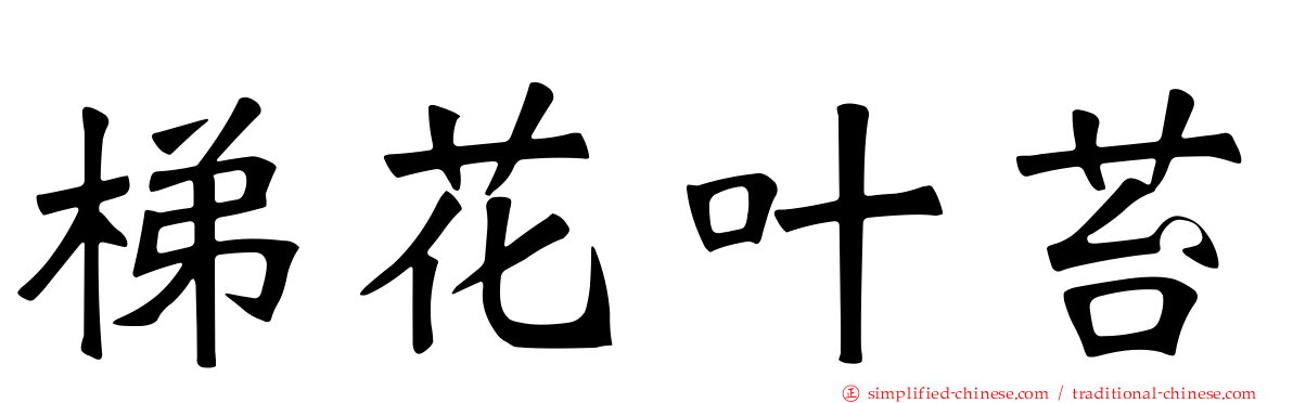 梯花叶苔