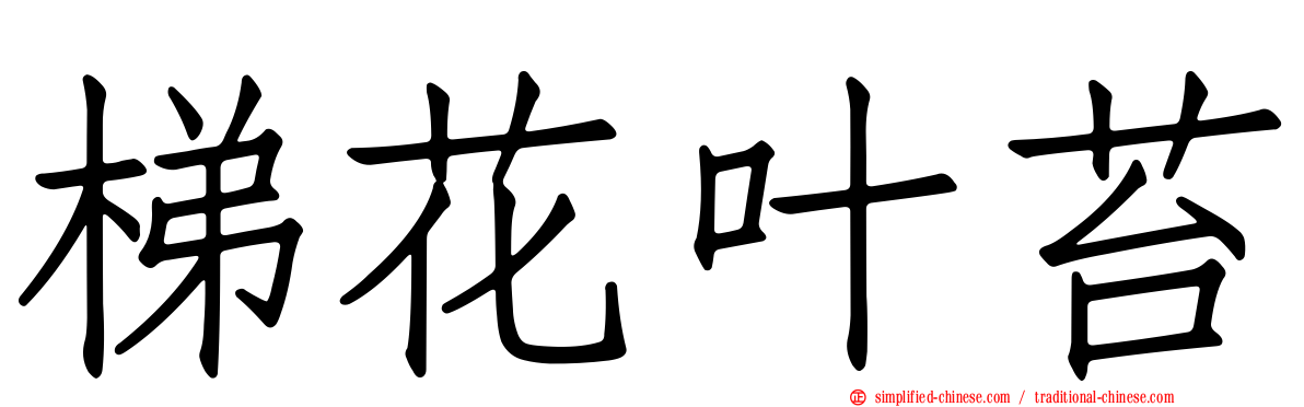 梯花叶苔