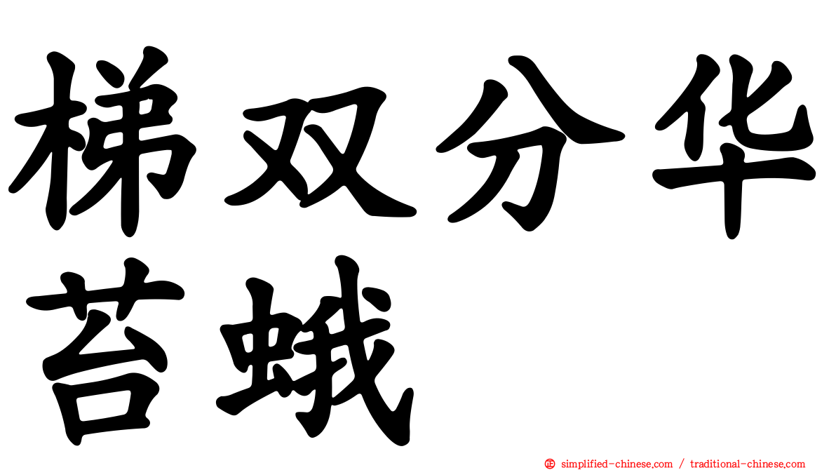 梯双分华苔蛾