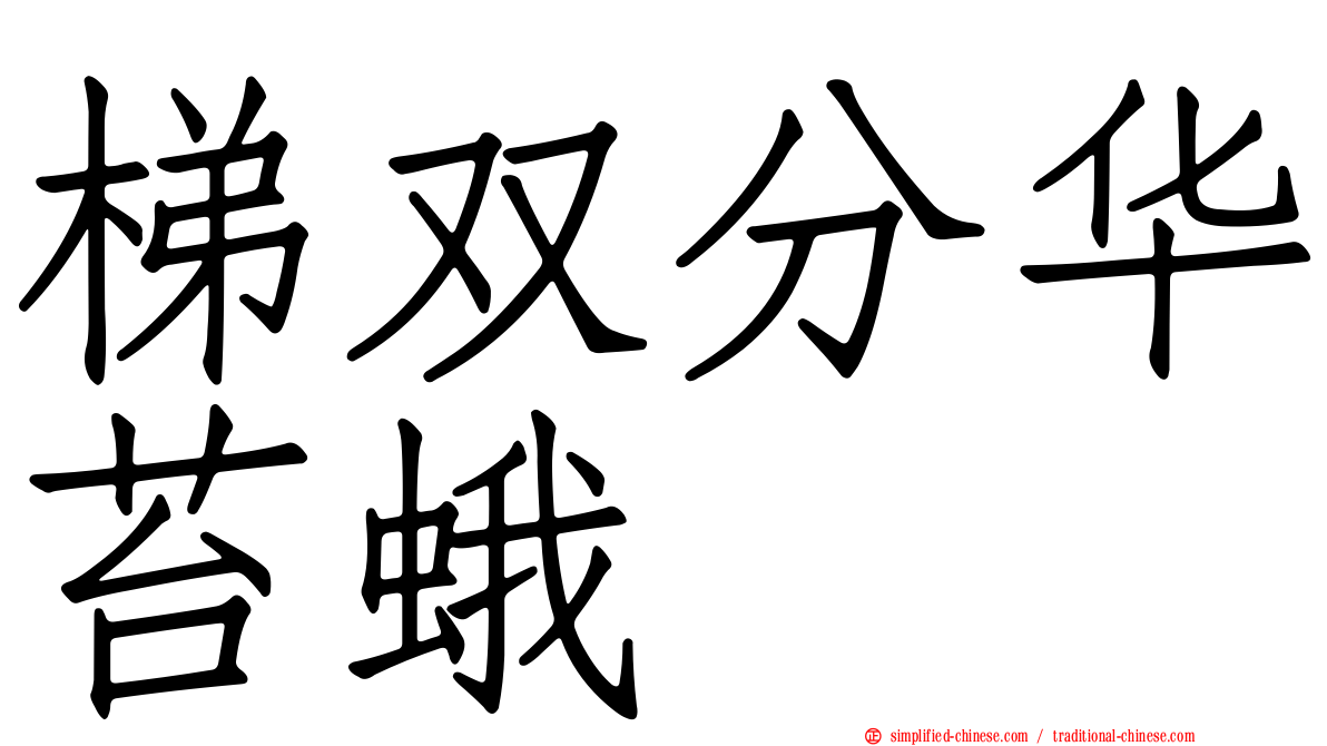 梯双分华苔蛾