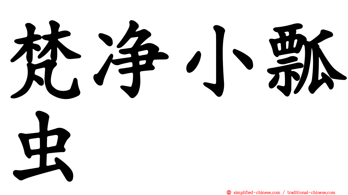 梵净小瓢虫