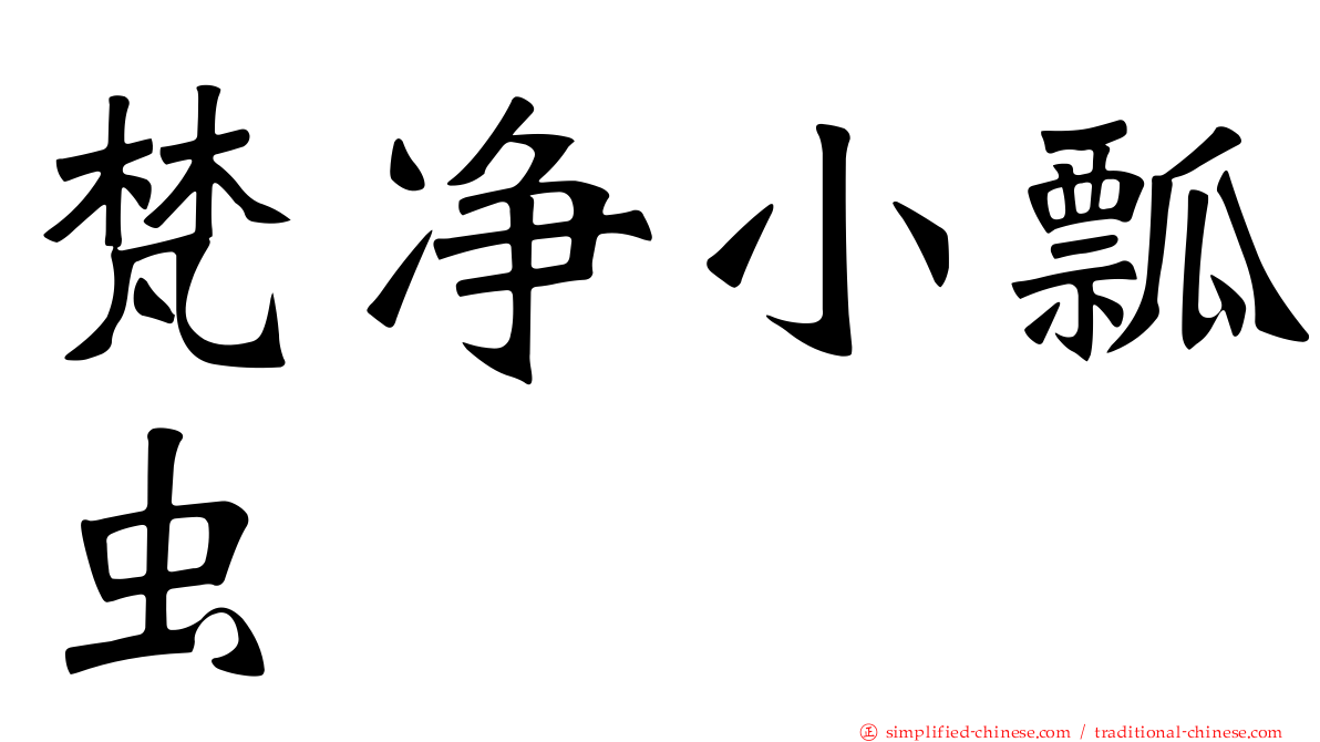 梵净小瓢虫