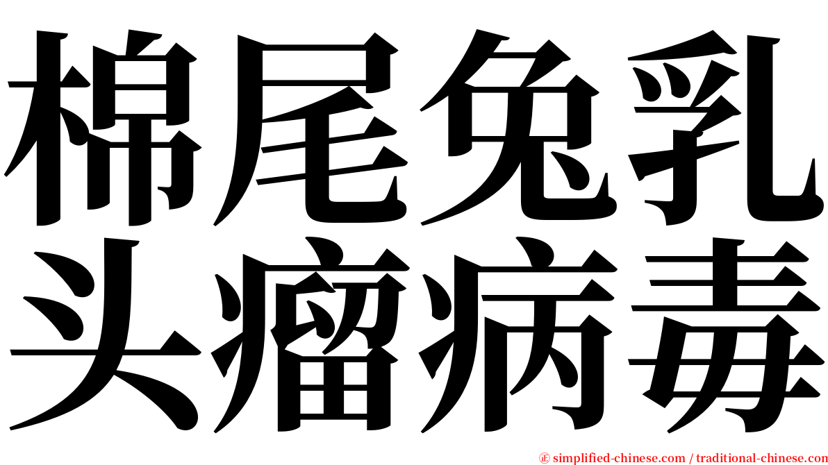 棉尾兔乳头瘤病毒 serif font