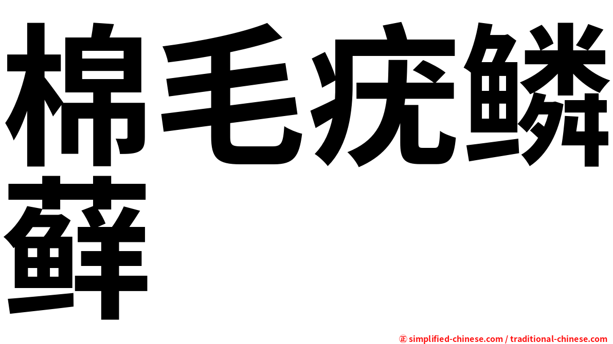 棉毛疣鳞藓