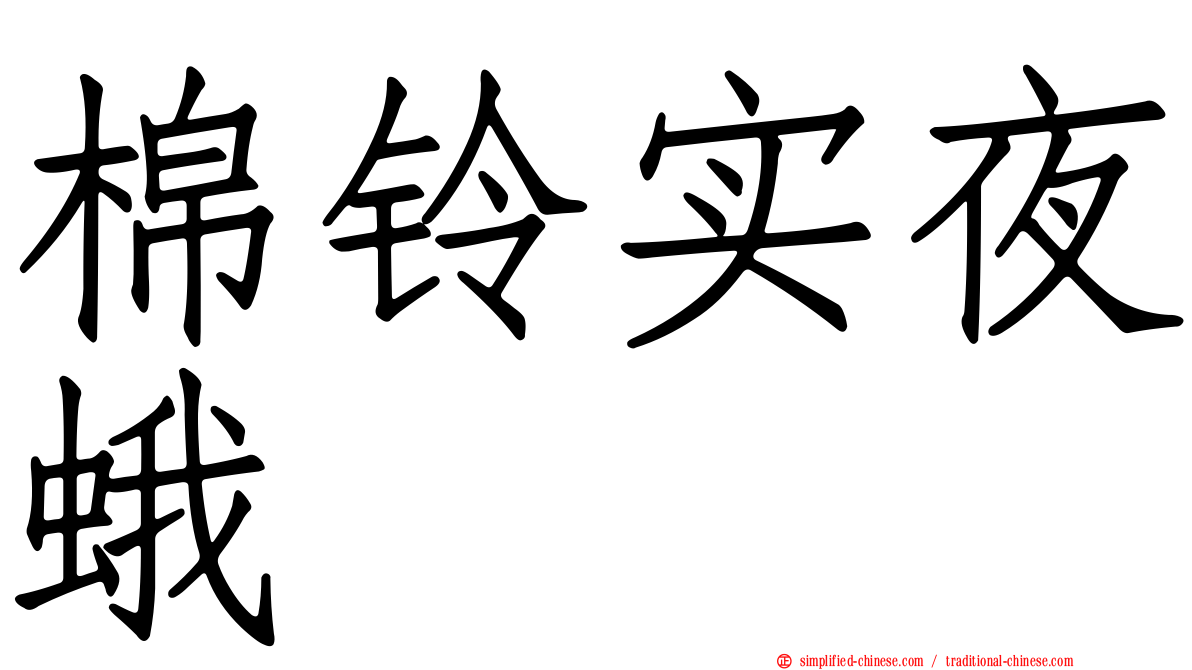棉铃实夜蛾