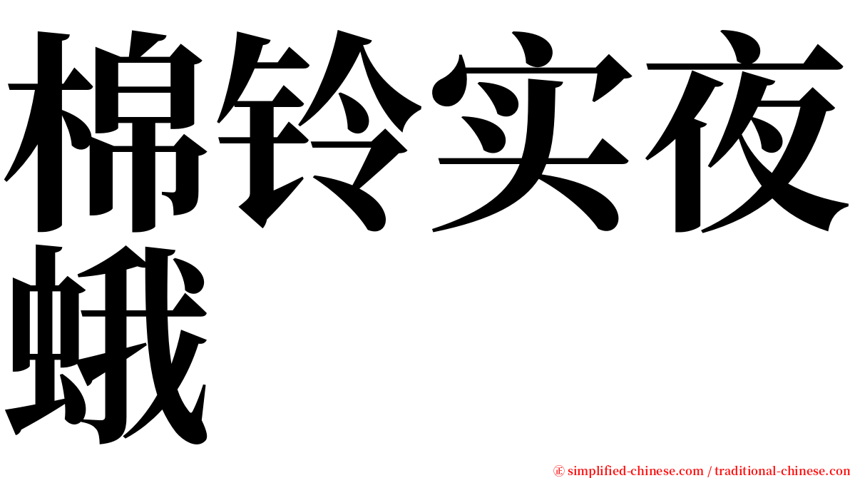 棉铃实夜蛾 serif font