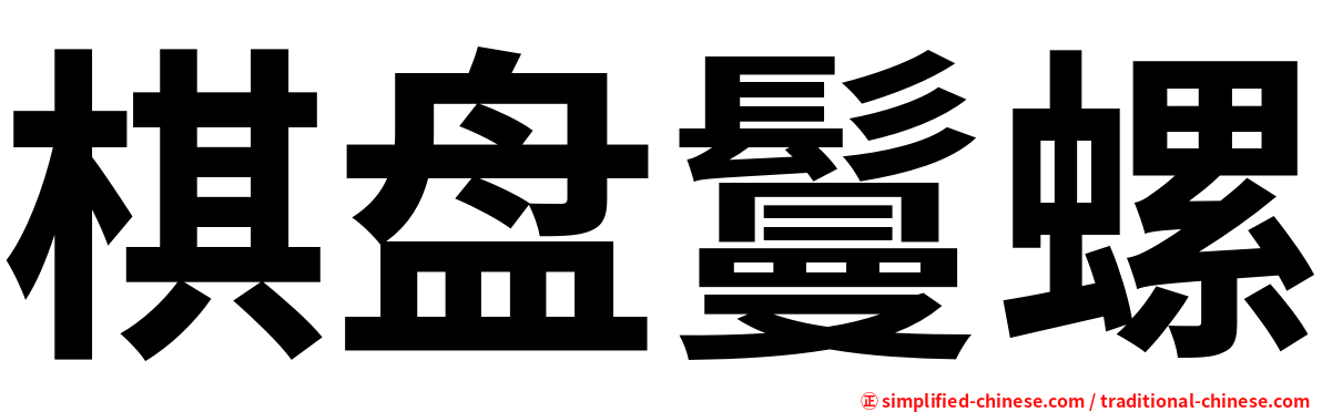 棋盘鬘螺