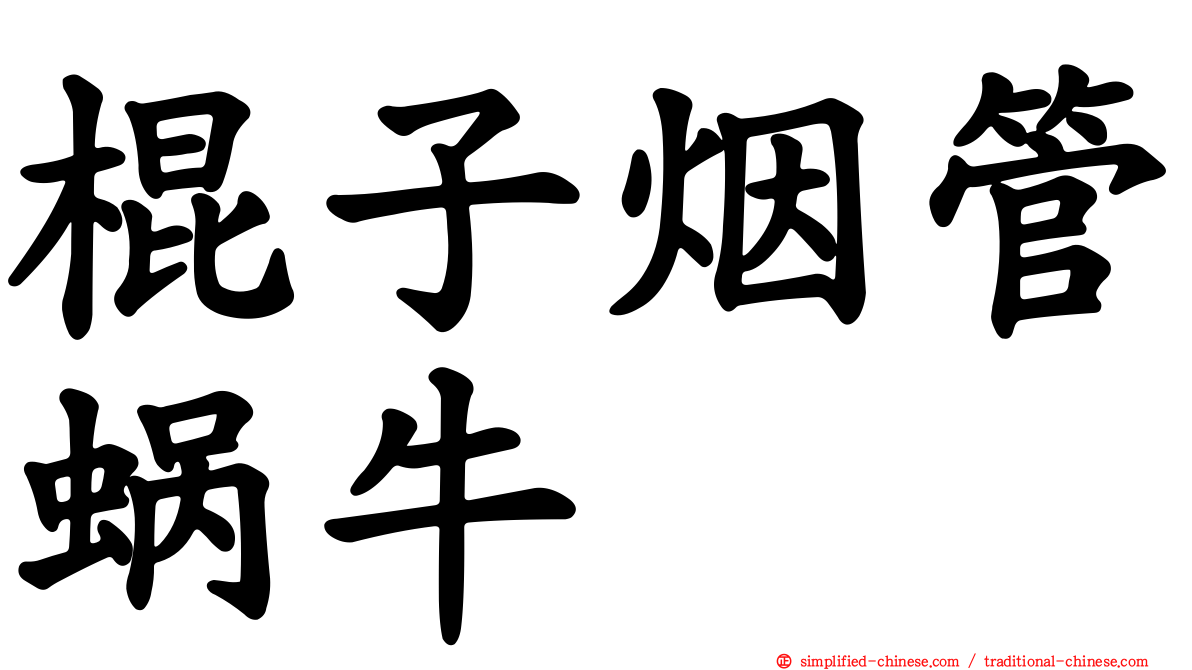 棍子烟管蜗牛