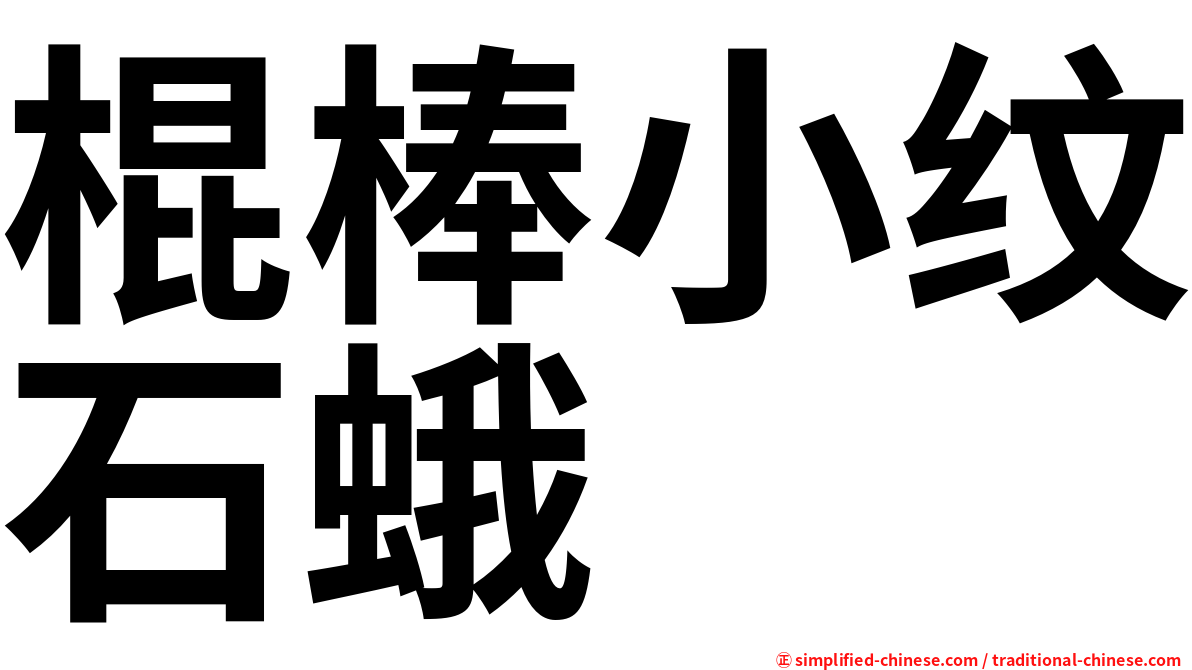 棍棒小纹石蛾