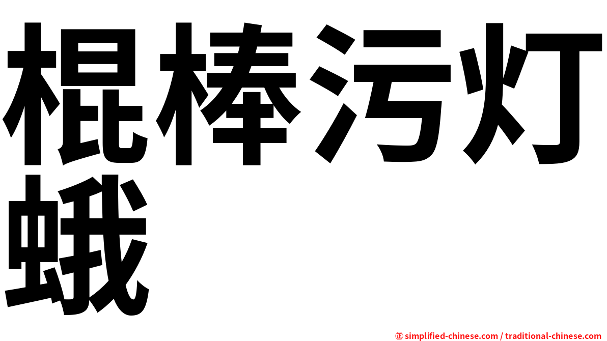 棍棒污灯蛾