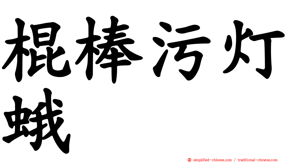 棍棒污灯蛾