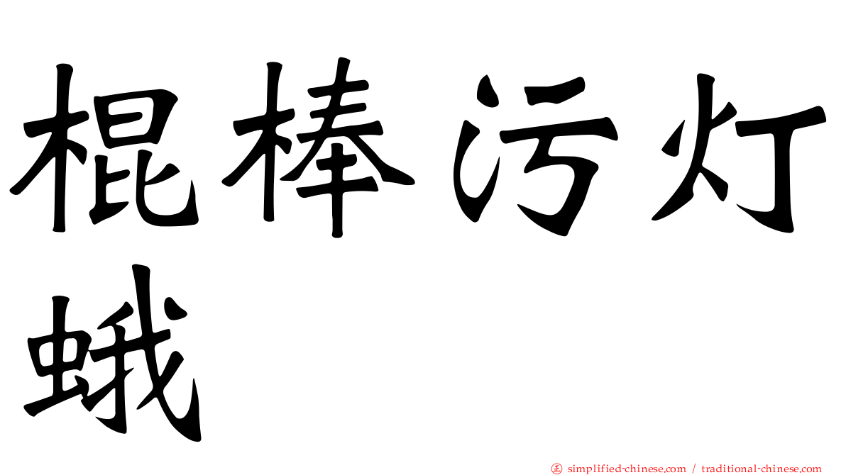 棍棒污灯蛾