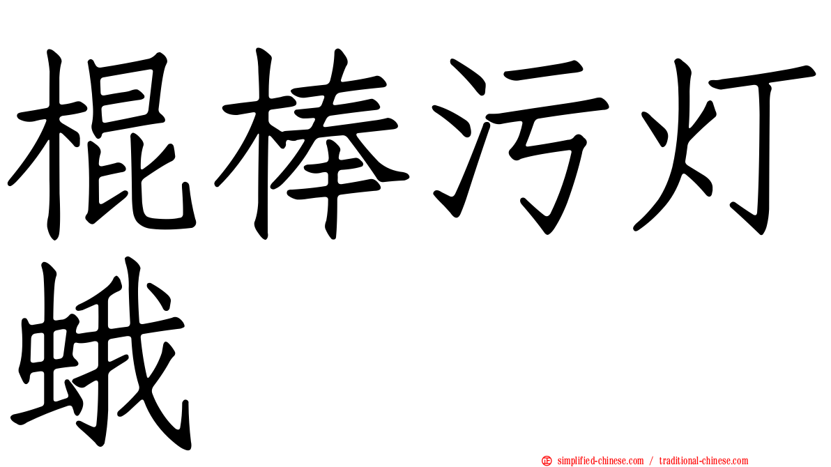 棍棒污灯蛾
