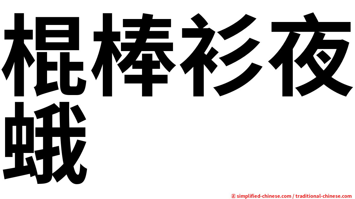 棍棒衫夜蛾