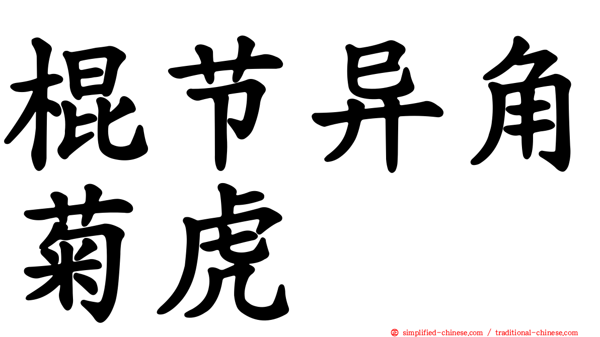 棍节异角菊虎