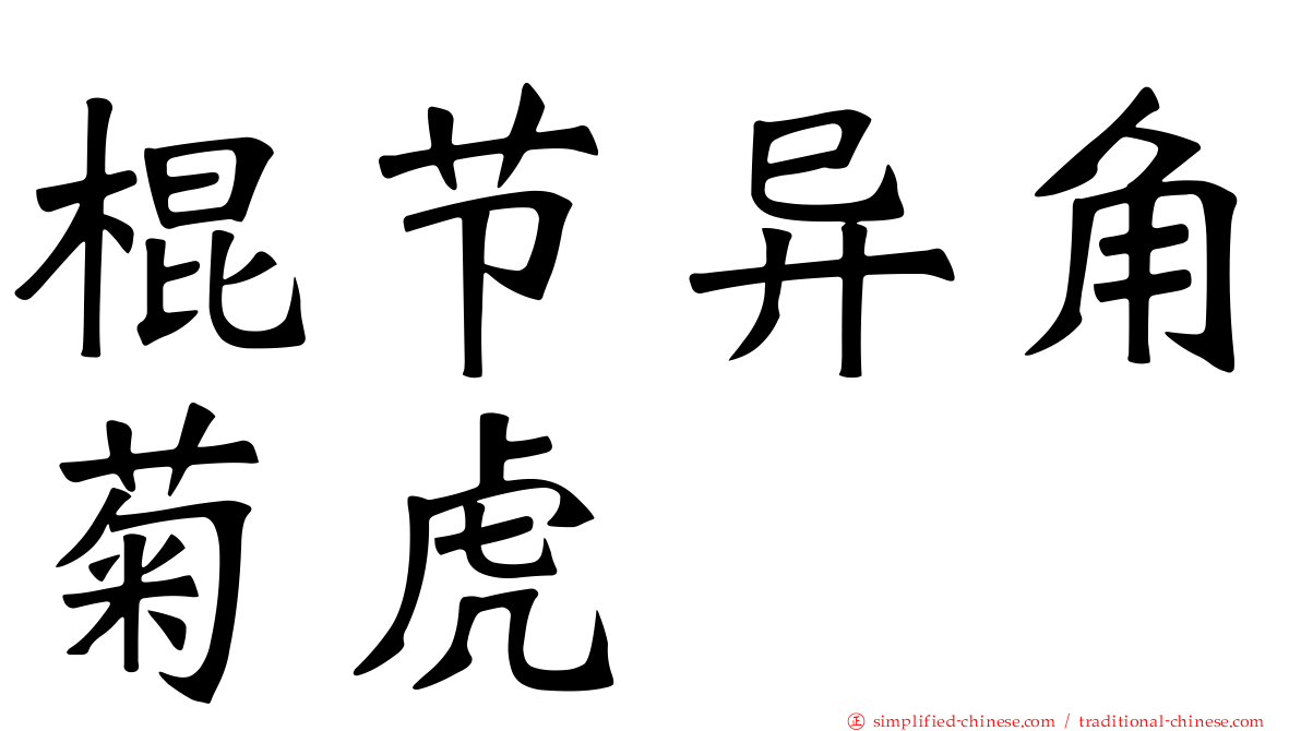 棍节异角菊虎