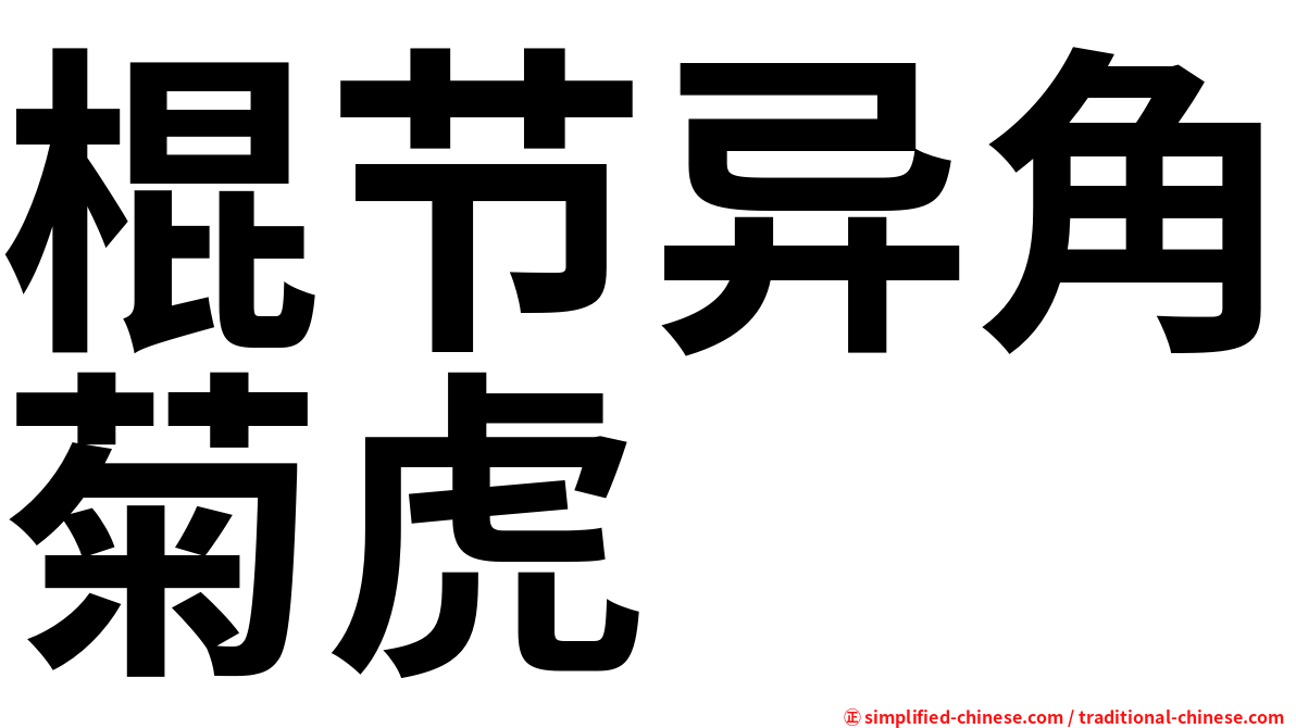 棍节异角菊虎